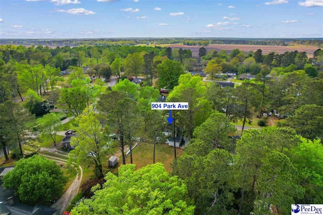 drone / aerial view