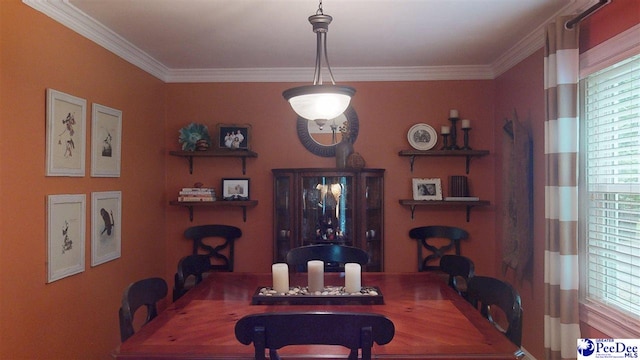 122 Rogers Ave, Hartsville, SC 29550 - photo 6