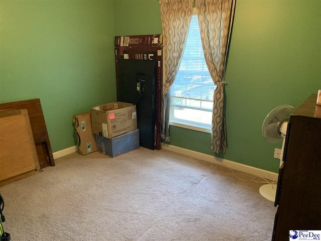 bedroom with carpet flooring