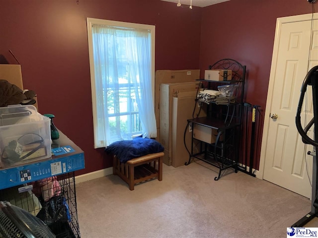 miscellaneous room with carpet flooring