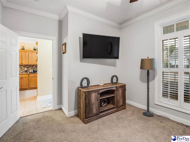 carpeted living room with ornamental molding and ceiling fan