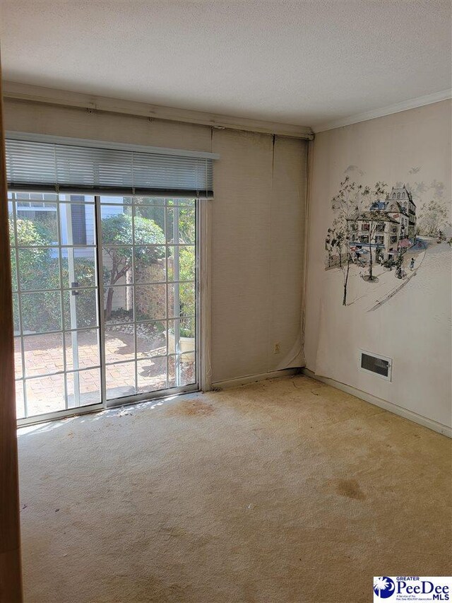 601 Cashua St, Darlington, SC 29532 - spare room with light carpet, ornamental molding, and a textured ceiling