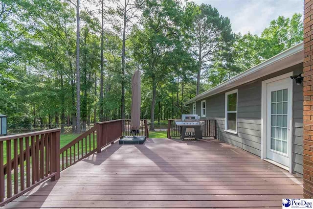 100 Warren Way, Cheraw, SC 29520 - wooden terrace with a fenced backyard