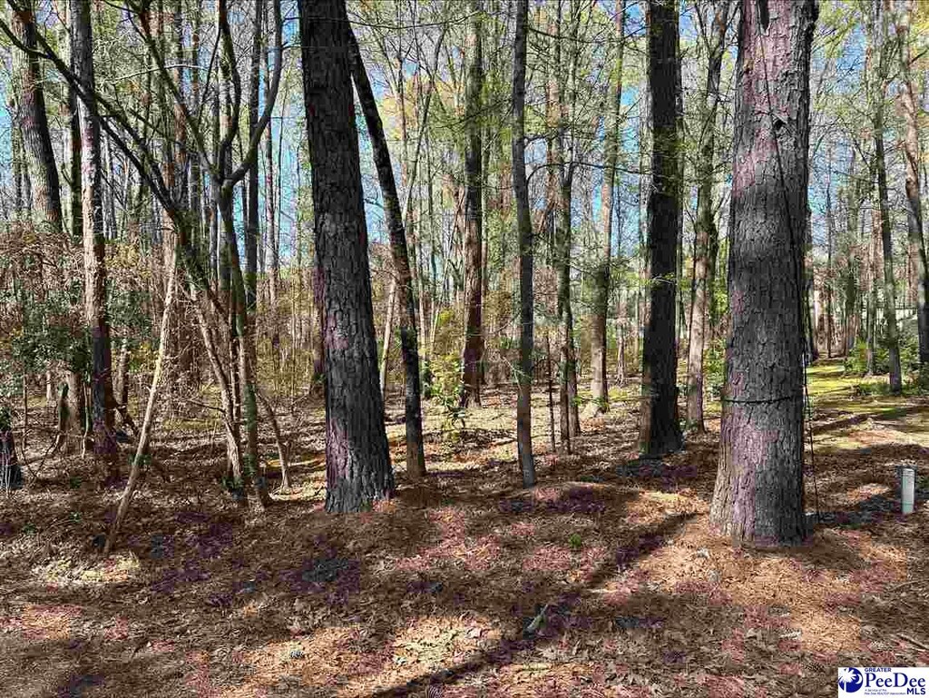 Coach Rd, Cheraw, SC 29520