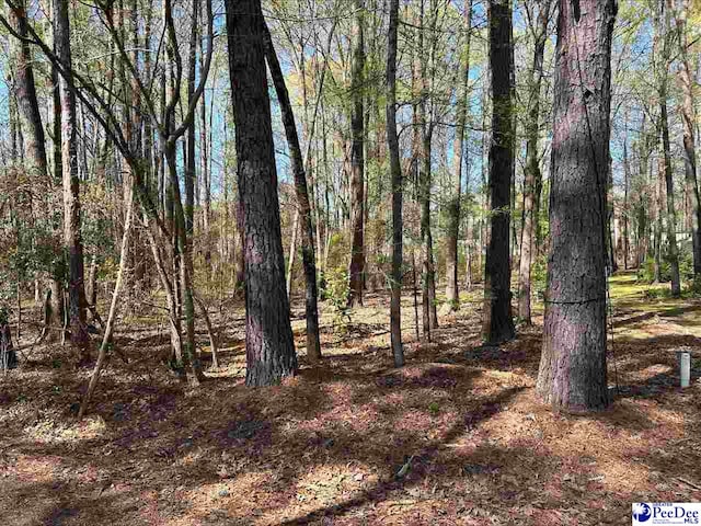 Coach Rd, Cheraw SC, 29520 land for sale