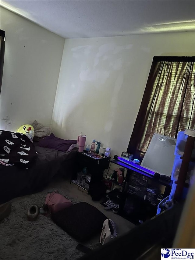 bedroom with carpet flooring