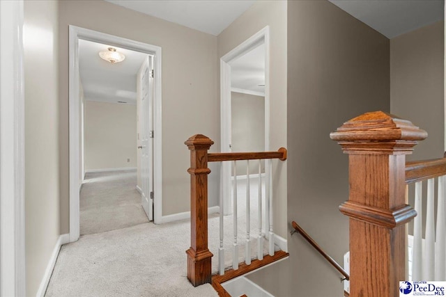 3427 Sussex Ct, Florence, SC 29501 - staircase featuring carpet and baseboards