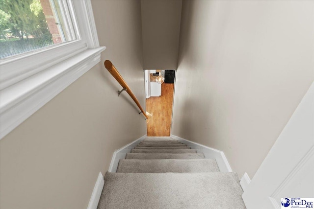 3427 Sussex Ct, Florence, SC 29501 - stairs with baseboards