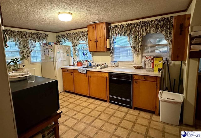 kitchen with dishwasher, sink, white fridge, crown molding, and a healthy amount of sunlight