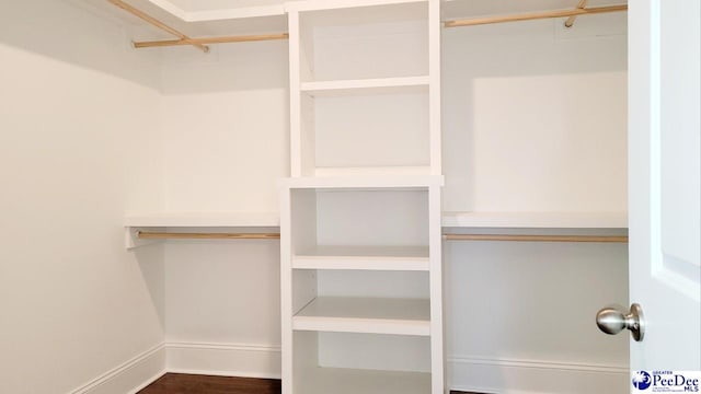 855 Bellemeade Cir, Florence, SC 29501 - walk in closet with wood finished floors