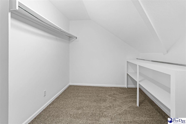 spacious closet featuring carpet flooring and vaulted ceiling