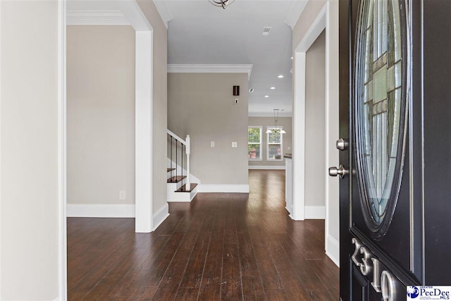 entrance foyer featuring crown molding and dark hardwood / wood-style floors