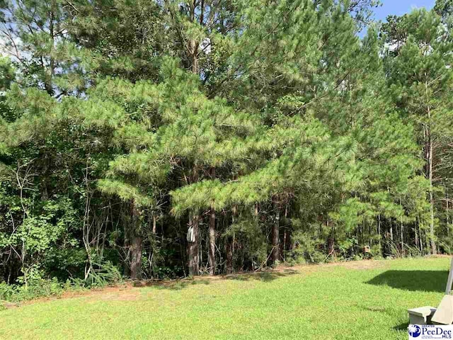 4050 Milan Rd, Florence, SC 29506 - photo 42