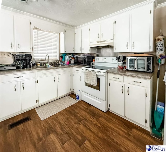 2526 Lester Rd, Dillon, SC 29536 - kitchen featuring electric stove, a sink, under cabinet range hood, dark wood-type flooring, and white cabinetry