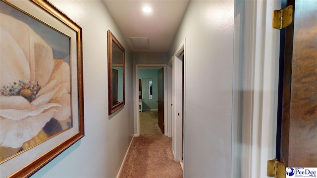 1103 Pine Lake Dr, Hartsville, SC 29550 - corridor featuring carpet floors and baseboards