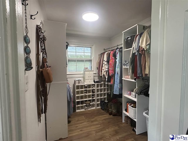 412 W Greene St, Cheraw, SC 29520 - walk in closet with wood finished floors