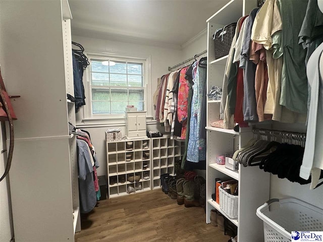 412 W Greene St, Cheraw, SC 29520 - walk in closet featuring wood finished floors