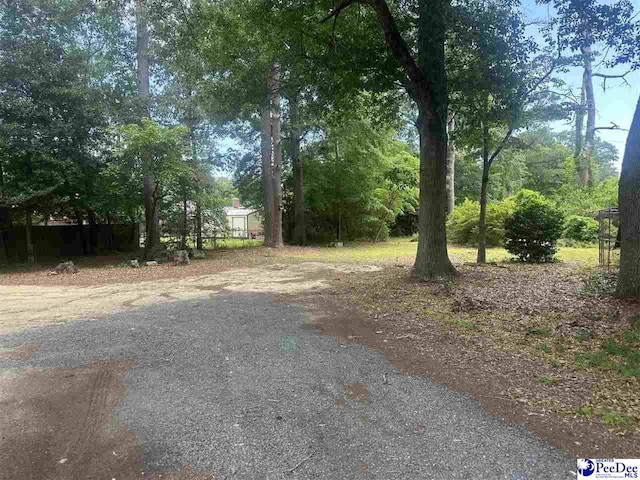 412 W Greene St, Cheraw, SC 29520 - view of street