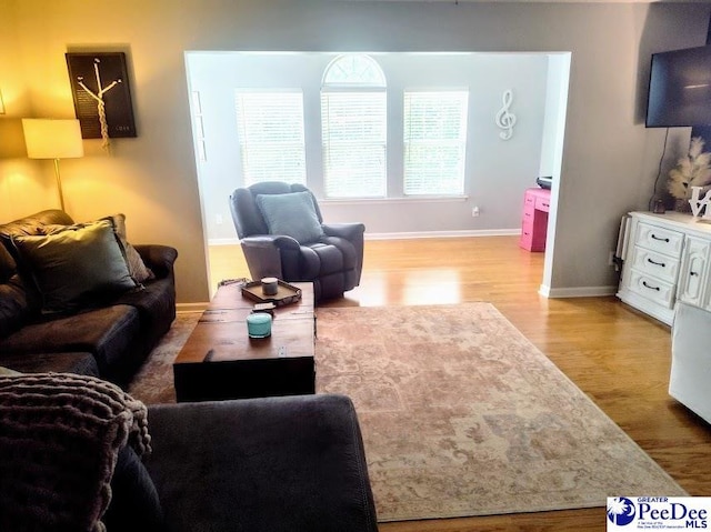 2109UNITG Sanderling, Florence, SC 29501 - living area featuring wood finished floors and baseboards