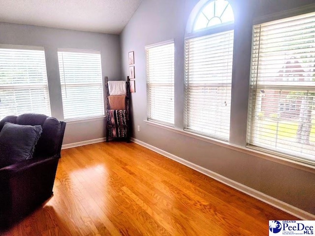 2109UNITG Sanderling, Florence, SC 29501 - living area featuring wood finished floors, baseboards, plenty of natural light, and lofted ceiling