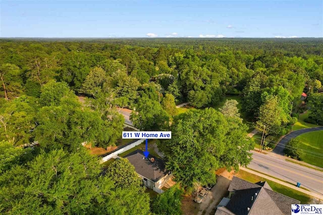 611 W Home Ave, Hartsville, SC 29550 - photo 40