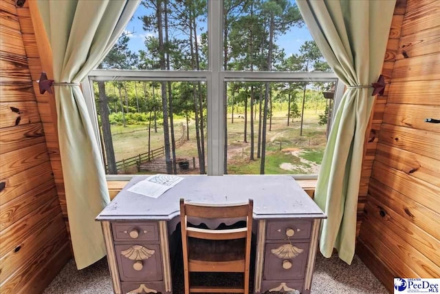 2497 Mcbride Rd, Patrick, SC 29584 - photo 54