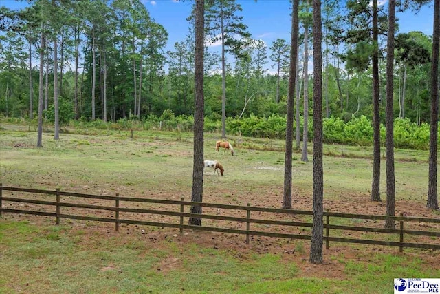 2497 Mcbride Rd, Patrick, SC 29584 - photo 71