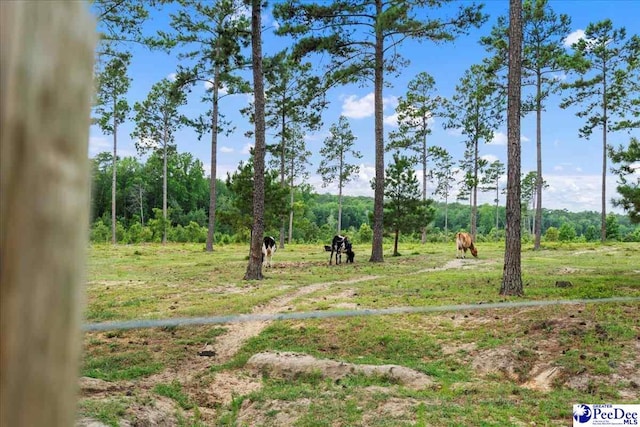 2497 Mcbride Rd, Patrick, SC 29584 - photo 73