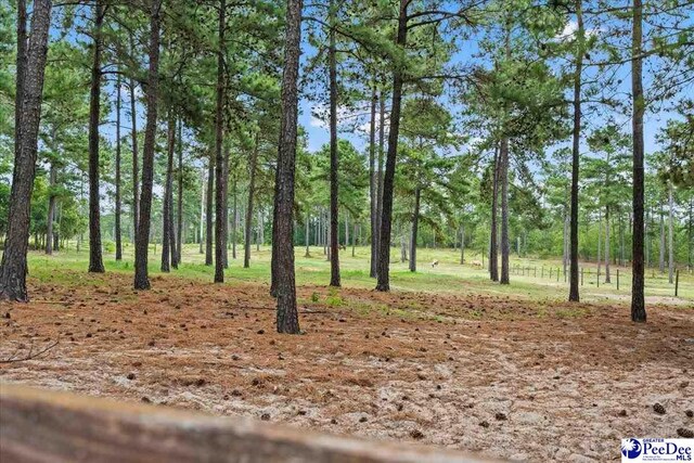 2497 Mcbride Rd, Patrick, SC 29584 - photo 72
