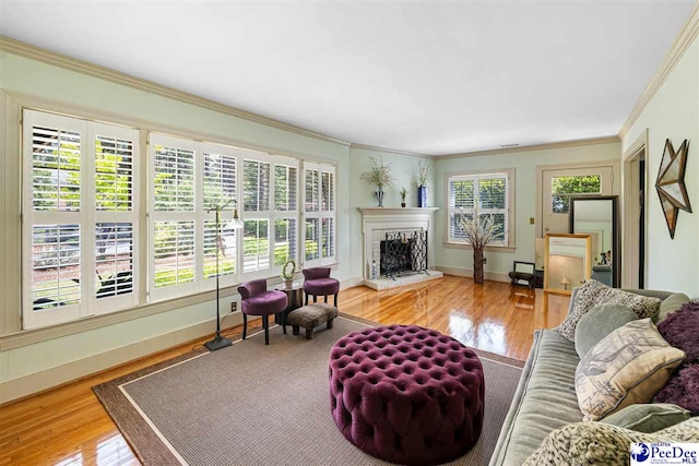 living area with wood finished floors, crown molding, a fireplace with raised hearth, and baseboards