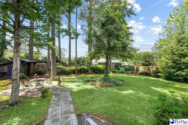 view of yard featuring a patio
