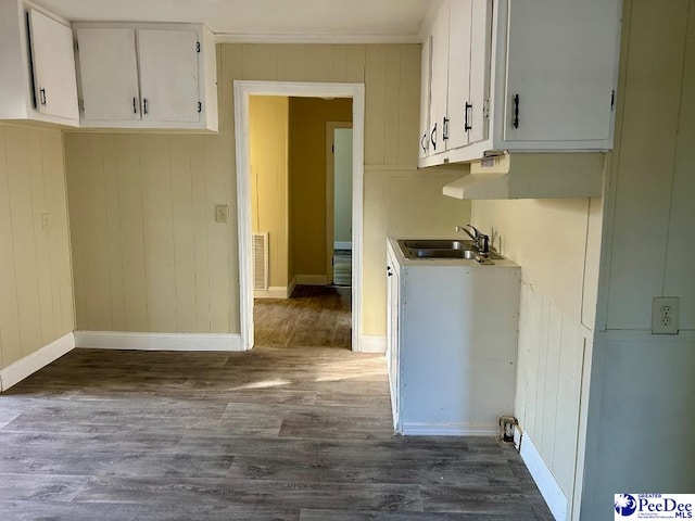 kitchen featuring sink, dark wood-type flooring, and white cabinets