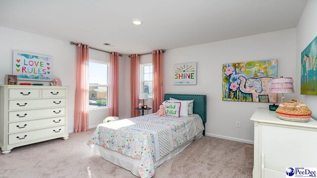 589 Strawberry Field Way, Galivants Ferry, SC 29588 - photo 31