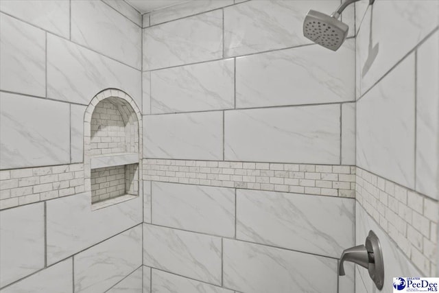 317 Thomas St, Bennettsville, SC 29512 - bathroom view of tiled shower