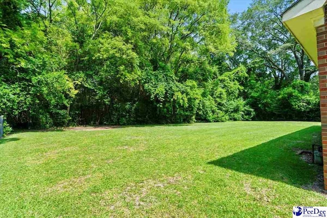 317 Thomas St, Bennettsville, SC 29512 - view of grassy yard