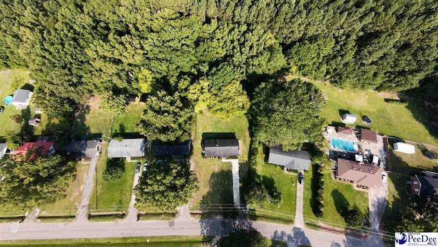 317 Thomas St, Bennettsville, SC 29512 - aerial view of property and surrounding area