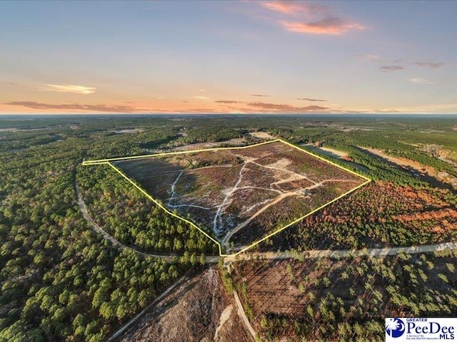 142AC Mcbride Rd, Patrick SC, 29584 land for sale