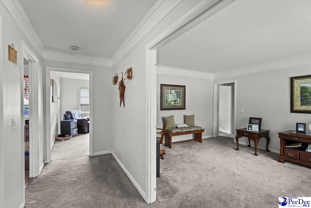 106 Min Lou Cir, Darlington, SC 29532 - hall featuring carpet flooring, crown molding, and baseboards