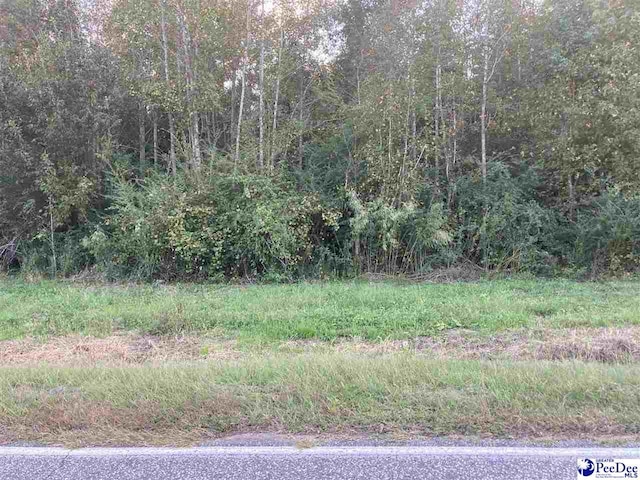 2361 Old River Rd, Fork, SC 29543