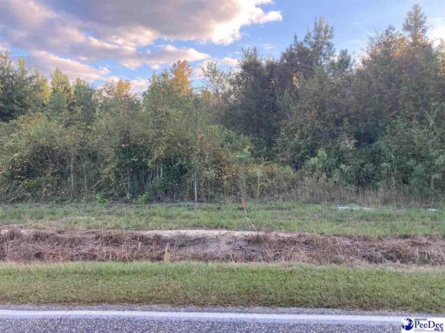 2361 Old River Rd, Fork, SC 29543