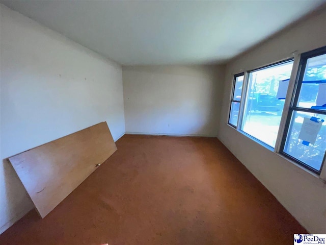 empty room featuring light colored carpet