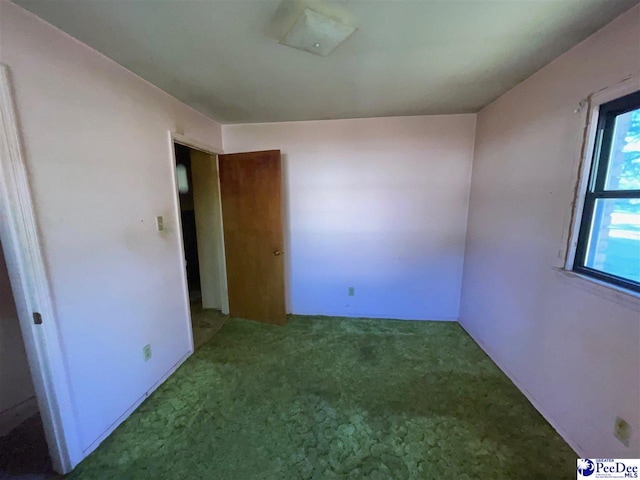 unfurnished bedroom featuring carpet