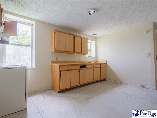 kitchen featuring sink and a textured ceiling