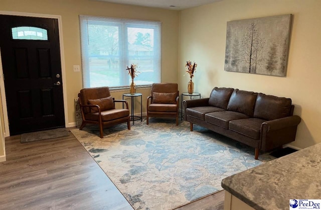 living room featuring wood-type flooring