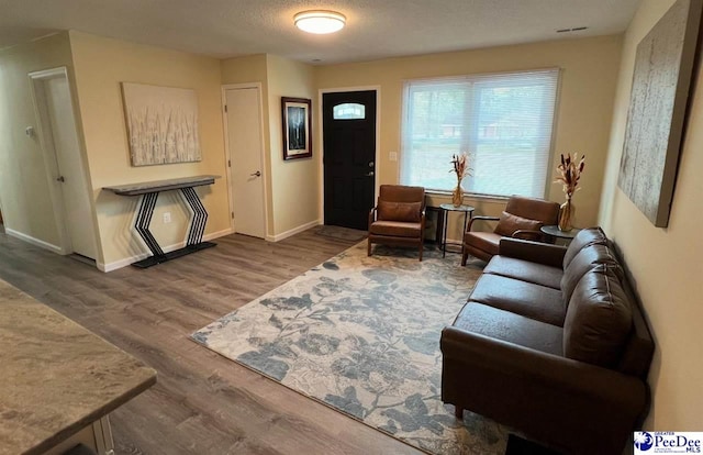 living room featuring hardwood / wood-style flooring and a textured ceiling