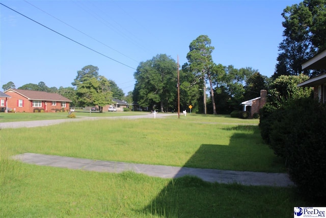 807 E Wilson St, Dillon, SC 29536 - photo 3