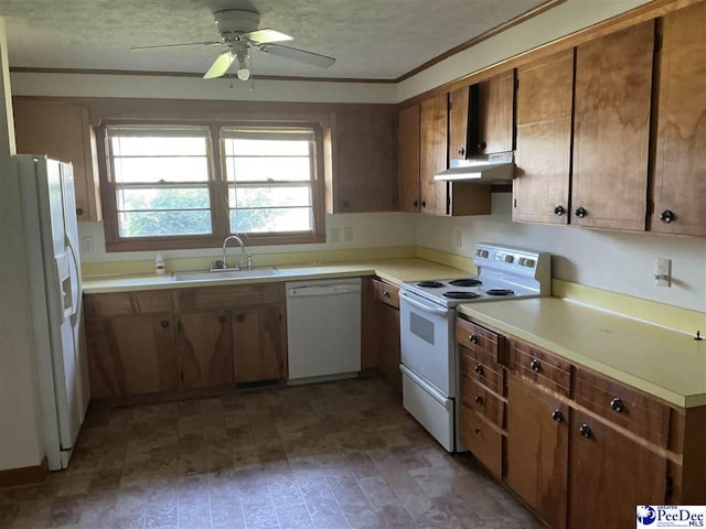 807 E Wilson St, Dillon, SC 29536 - photo 6