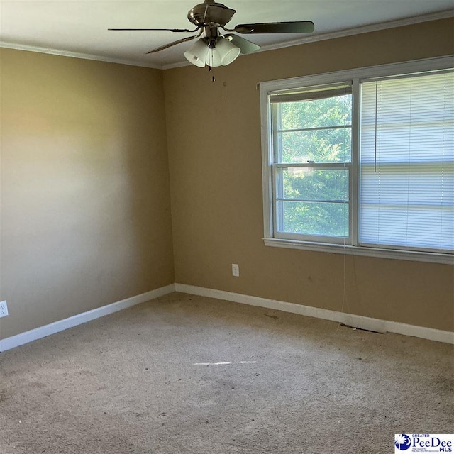 807 E Wilson St, Dillon, SC 29536 - photo 10