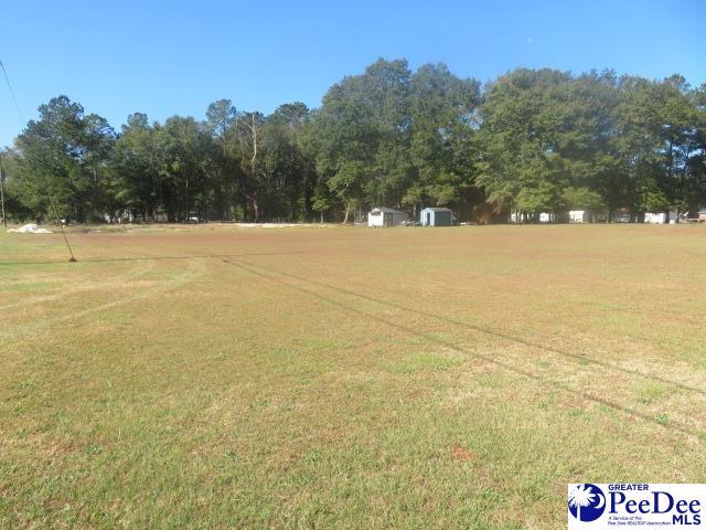 Listing photo 2 for LOT Santee Dr, Hartsville SC 29550