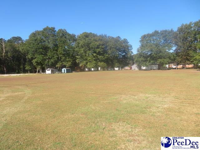 Listing photo 3 for LOT Santee Dr, Hartsville SC 29550